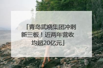 青岛武晓集团冲刺新三板！近两年营收均超20亿元