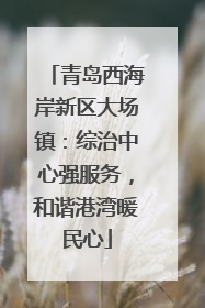 青岛西海岸新区大场镇：综治中心强服务，和谐港湾暖民心
