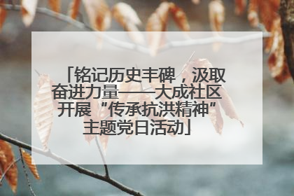 铭记历史丰碑，汲取奋进力量——大成社区开展“传承抗洪精神”主题党日活动