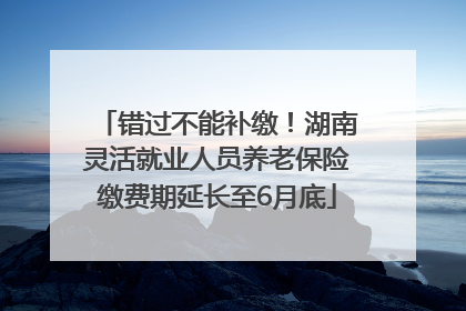 错过不能补缴！湖南灵活就业人员养老保险缴费期延长至6月底
