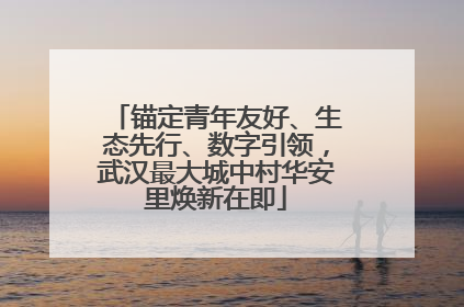 锚定青年友好、生态先行、数字引领，武汉最大城中村华安里焕新在即