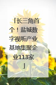 长三角首个！盐城数字视听产业基地集聚企业113家
