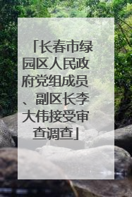 长春市绿园区人民政府党组成员、副区长李大伟接受审查调查