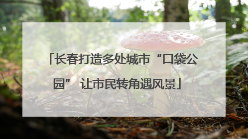 长春打造多处城市“口袋公园” 让市民转角遇风景