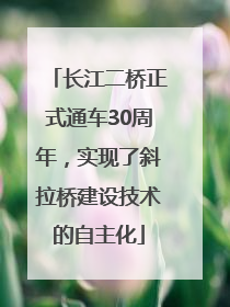 长江二桥正式通车30周年，实现了斜拉桥建设技术的自主化