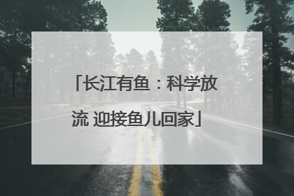 长江有鱼：科学放流 迎接鱼儿回家