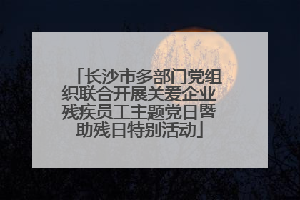 长沙市多部门党组织联合开展关爱企业残疾员工主题党日暨助残日特别活动
