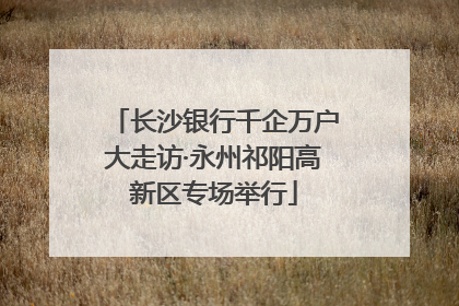 长沙银行千企万户大走访·永州祁阳高新区专场举行