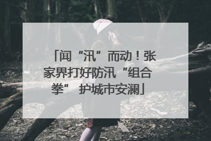 闻“汛”而动！张家界打好防汛“组合拳” 护城市安澜