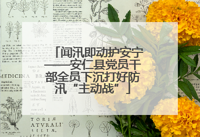 闻汛即动护安宁——安仁县党员干部全员下沉打好防汛“主动战”