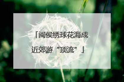 闽侯绣球花海成近郊游“顶流”