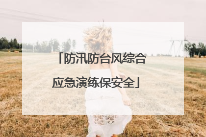防汛防台风综合应急演练保安全