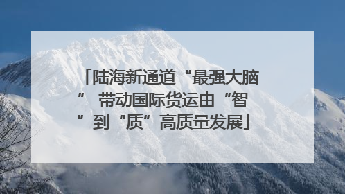 陆海新通道“最强大脑” 带动国际货运由“智”到“质”高质量发展