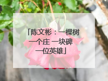 陈文彬：一棵树 一个庄 一块碑 一位英雄
