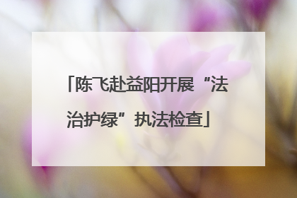 陈飞赴益阳开展“法治护绿”执法检查
