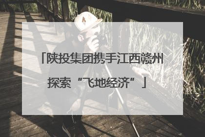 陕投集团携手江西赣州 探索“飞地经济”