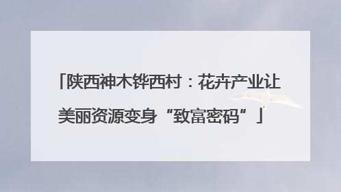 陕西神木铧西村：花卉产业让美丽资源变身“致富密码”
