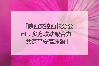 陕西交控西长分公司：多方联动聚合力 共筑平安高速路