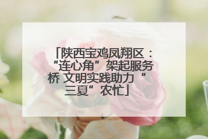 陕西宝鸡凤翔区：“连心角”架起服务桥 文明实践助力“三夏”农忙