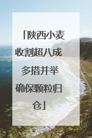 陕西小麦收割超八成 多措并举确保颗粒归仓