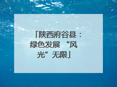 陕西府谷县：绿色发展 “风光”无限