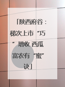 陕西府谷：梯次上市“巧”增收 西瓜富农有“蜜”诀