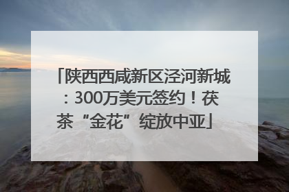 陕西西咸新区泾河新城：300万美元签约！茯茶“金花”绽放中亚