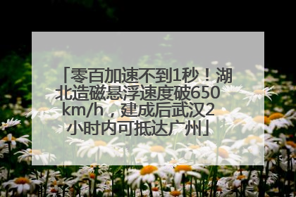 零百加速不到1秒！湖北造磁悬浮速度破650km/h，建成后武汉2小时内可抵达广州