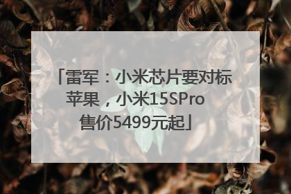 雷军：小米芯片要对标苹果，小米15SPro售价5499元起
