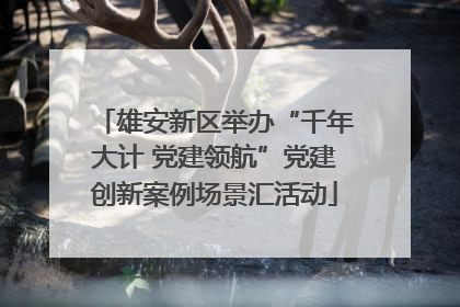 雄安新区举办“千年大计 党建领航”党建创新案例场景汇活动