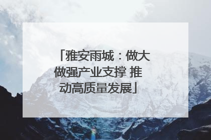 雅安雨城：做大做强产业支撑 推动高质量发展