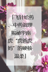 飞针给药、中药调理 揭秘华南虎“虎爸虎妈”的硬核温柔