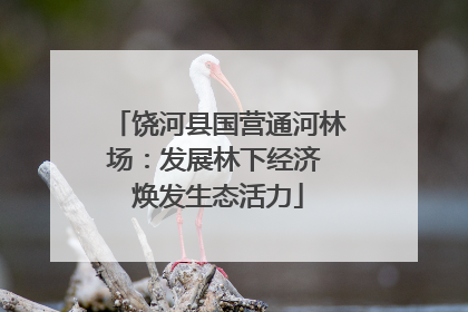 饶河县国营通河林场：发展林下经济 焕发生态活力