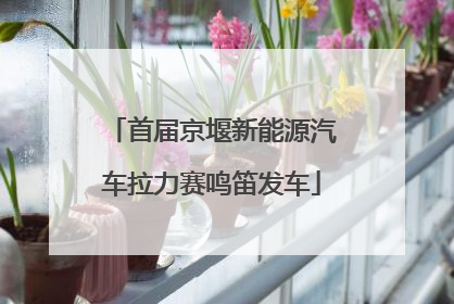 首届京堰新能源汽车拉力赛鸣笛发车