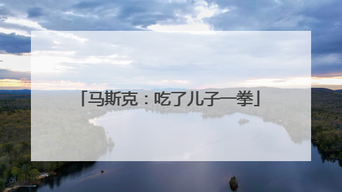 马斯克：吃了儿子一拳