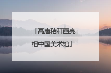 高唐秸秆画亮相中国美术馆