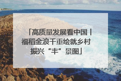 高质量发展看中国丨福稻金浪千重绘就乡村振兴“丰”景图