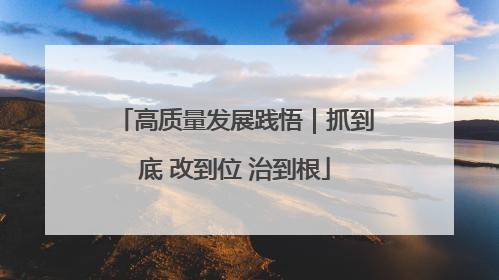 高质量发展践悟｜抓到底 改到位 治到根