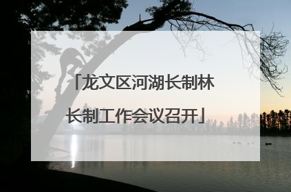 龙文区河湖长制林长制工作会议召开