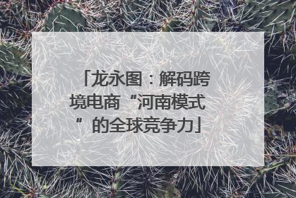 龙永图：解码跨境电商“河南模式”的全球竞争力