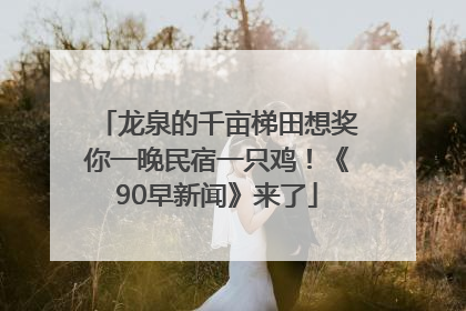 龙泉的千亩梯田想奖你一晚民宿一只鸡！《90早新闻》来了