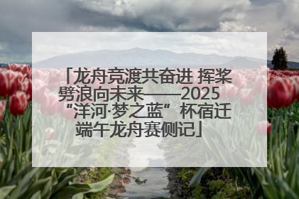龙舟竞渡共奋进 挥桨劈浪向未来——2025“洋河·梦之蓝”杯宿迁端午龙舟赛侧记