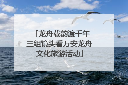 龙舟载韵渡千年 三组镜头看万安龙舟文化旅游活动