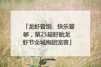 龙虾管饱、快乐管够，第25届盱眙龙虾节全城抱团宠客
