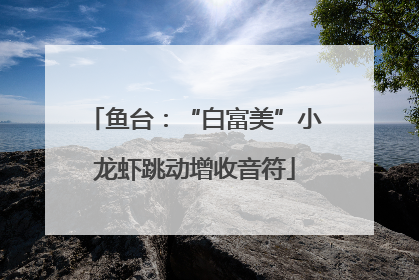 鱼台：“白富美”小龙虾跳动增收音符