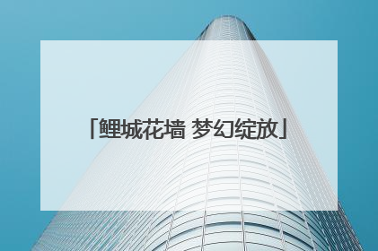 鲤城花墙 梦幻绽放