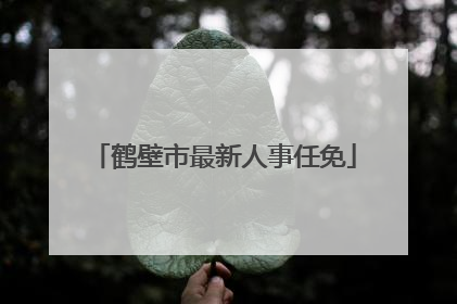 鹤壁市最新人事任免