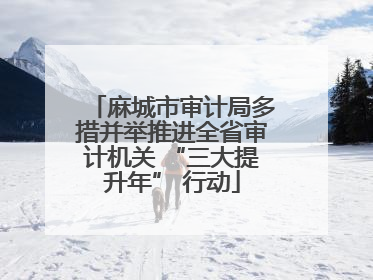 麻城市审计局多措并举推进全省审计机关 “三大提升年” 行动