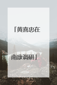黄喜忠在南康调研