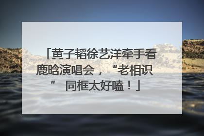 黄子韬徐艺洋牵手看鹿晗演唱会，“老相识” 同框太好嗑！